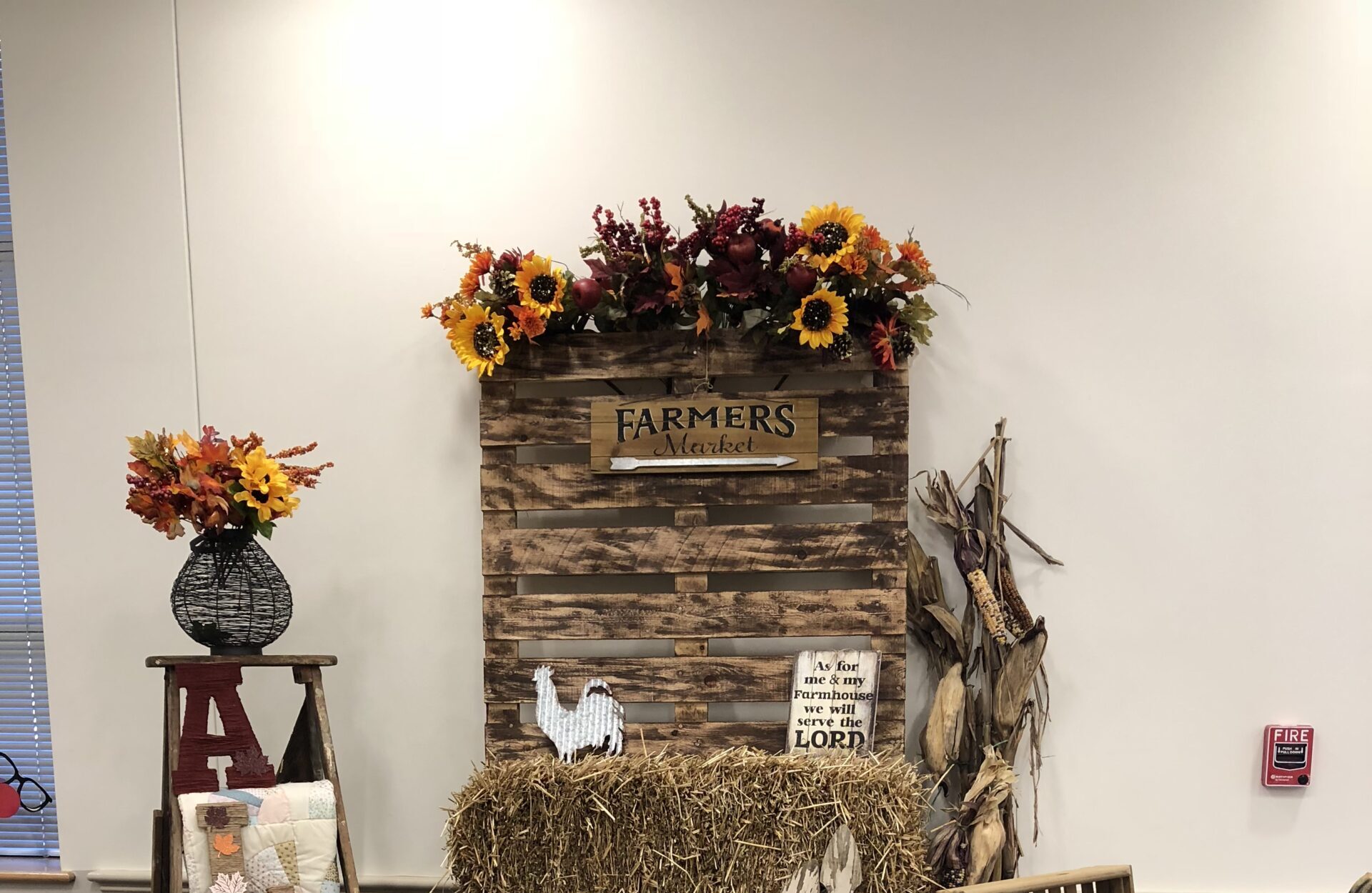 0AF5E663-186A-4AA4-B3EF-BEE4919A81B0 (2)